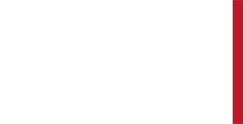 TEAMZ